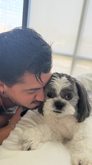 Peace of Mind While We’re Gone — Evelyn Mandelli