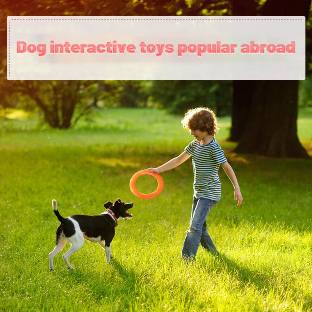 High-Flyer Orange Dog Frisbee– Durable EVA Training Toy