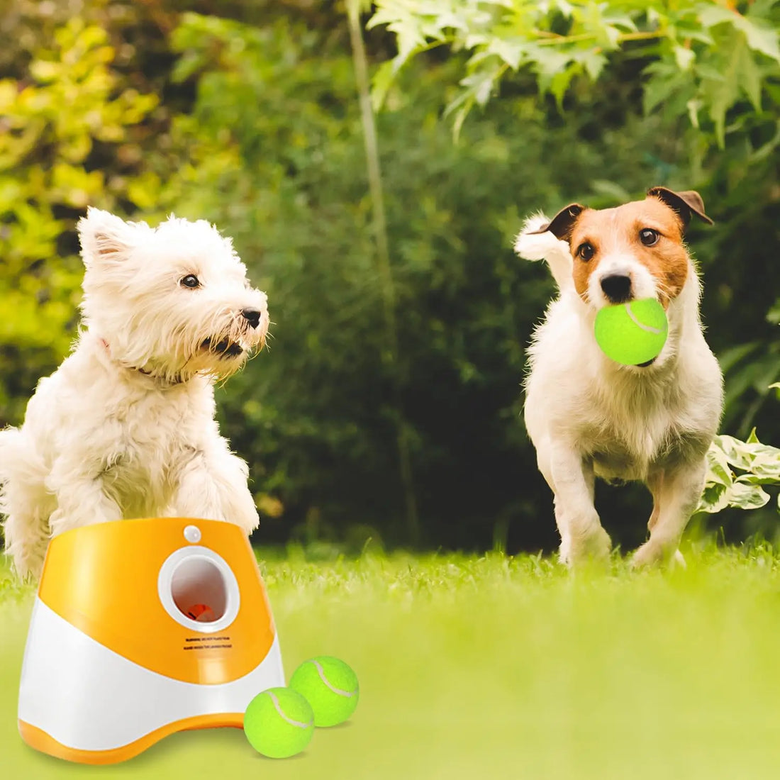 Automatic Dog Tennis Ball Launcher